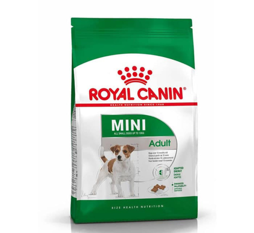 🐶 רויאל קנין מבית לדמטיק – Mini Adult (2 ק"ג)